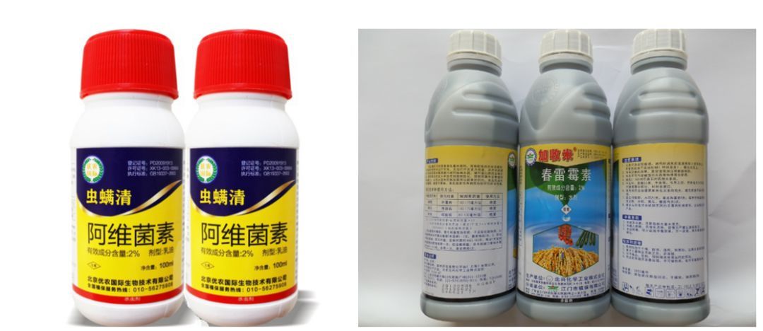 微生物農(nóng)藥的種類及特點(diǎn) 助力綠色農(nóng)業(yè)的生態(tài)防控技術(shù)解析