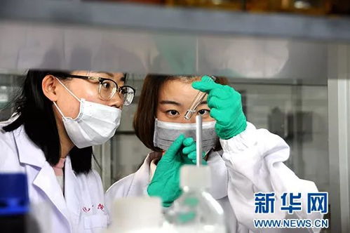 中藥治蟲更護田 農(nóng)作物“喝藥保健”助推生物農(nóng)藥步入春天