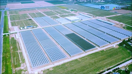 錨定農(nóng)業(yè)強國目標 先正達集團以生物農(nóng)藥技術(shù)研發(fā)驅(qū)動農(nóng)業(yè)現(xiàn)代化轉(zhuǎn)型